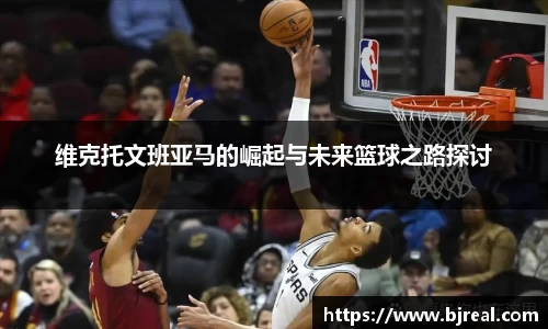 新博官网